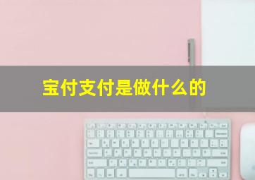 宝付支付是做什么的