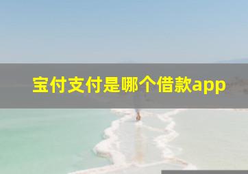 宝付支付是哪个借款app