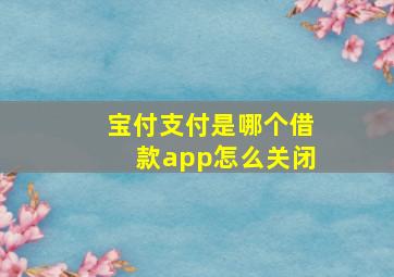 宝付支付是哪个借款app怎么关闭