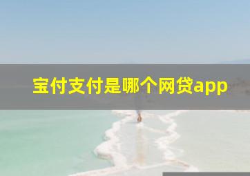 宝付支付是哪个网贷app