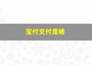 宝付支付是啥