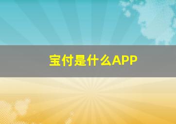 宝付是什么APP