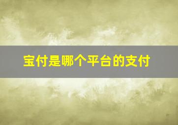 宝付是哪个平台的支付