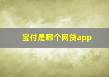 宝付是哪个网贷app