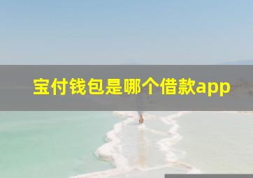 宝付钱包是哪个借款app