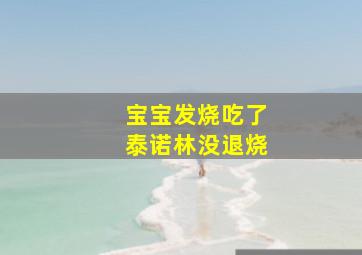 宝宝发烧吃了泰诺林没退烧