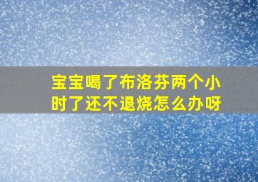 宝宝喝了布洛芬两个小时了还不退烧怎么办呀