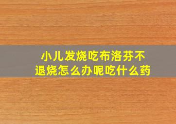 小儿发烧吃布洛芬不退烧怎么办呢吃什么药