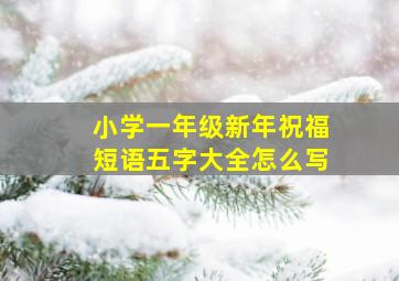 小学一年级新年祝福短语五字大全怎么写