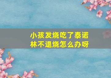 小孩发烧吃了泰诺林不退烧怎么办呀