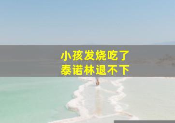 小孩发烧吃了泰诺林退不下