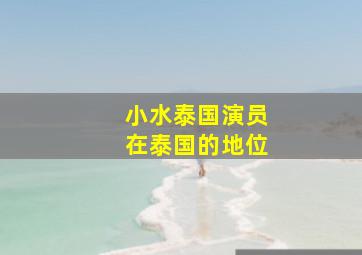 小水泰国演员在泰国的地位