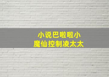 小说巴啦啦小魔仙控制凌太太