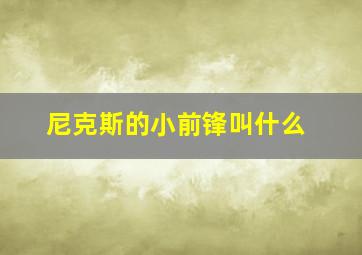 尼克斯的小前锋叫什么