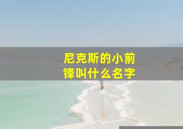 尼克斯的小前锋叫什么名字