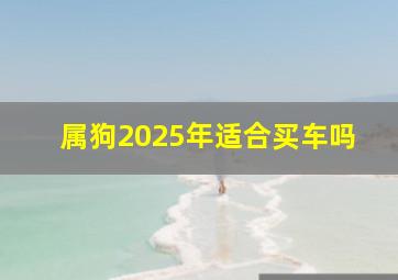 属狗2025年适合买车吗