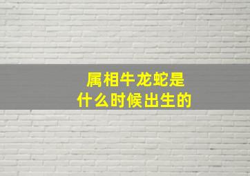 属相牛龙蛇是什么时候出生的