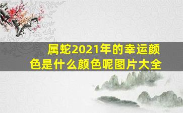 属蛇2021年的幸运颜色是什么颜色呢图片大全