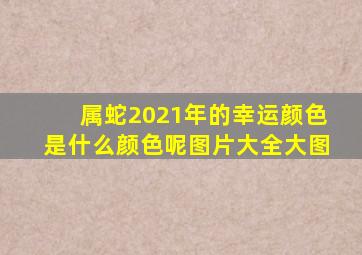 属蛇2021年的幸运颜色是什么颜色呢图片大全大图