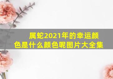 属蛇2021年的幸运颜色是什么颜色呢图片大全集