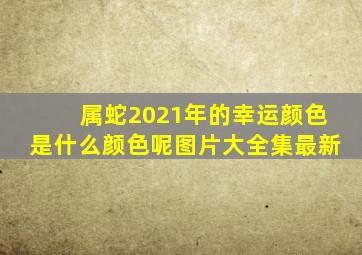 属蛇2021年的幸运颜色是什么颜色呢图片大全集最新