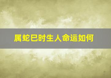 属蛇巳时生人命运如何