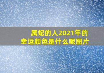 属蛇的人2021年的幸运颜色是什么呢图片