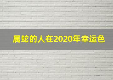 属蛇的人在2020年幸运色