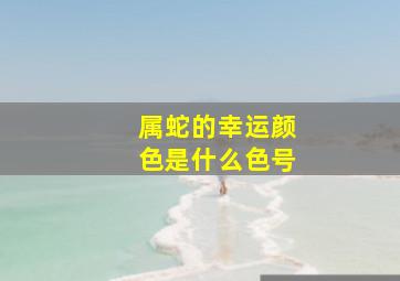 属蛇的幸运颜色是什么色号