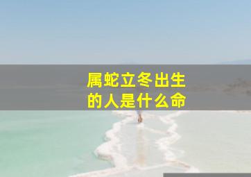 属蛇立冬出生的人是什么命