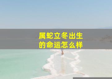 属蛇立冬出生的命运怎么样