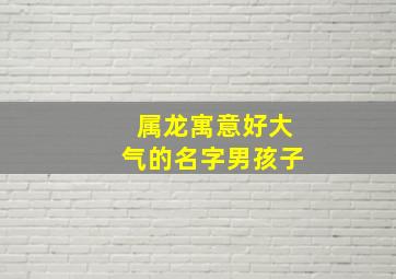 属龙寓意好大气的名字男孩子