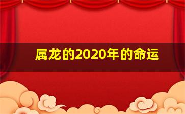 属龙的2020年的命运