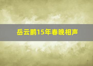 岳云鹏15年春晚相声