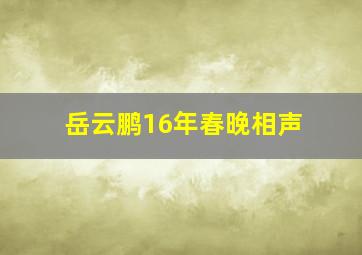 岳云鹏16年春晚相声