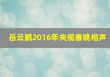 岳云鹏2016年央视春晚相声