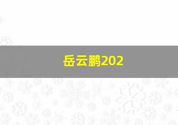 岳云鹏202