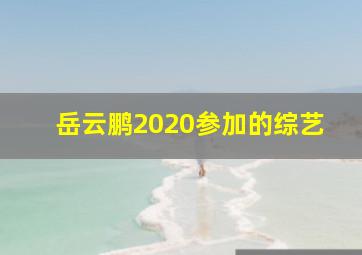 岳云鹏2020参加的综艺