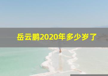 岳云鹏2020年多少岁了