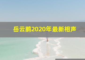 岳云鹏2020年最新相声