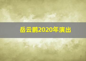 岳云鹏2020年演出