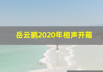 岳云鹏2020年相声开箱