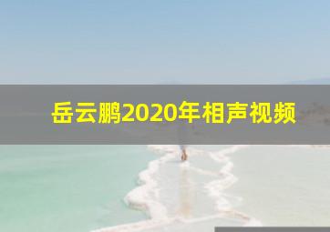 岳云鹏2020年相声视频