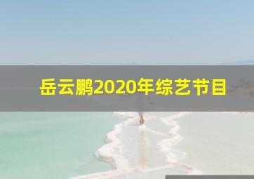 岳云鹏2020年综艺节目