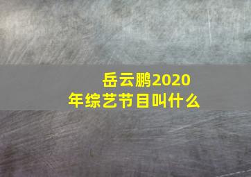 岳云鹏2020年综艺节目叫什么