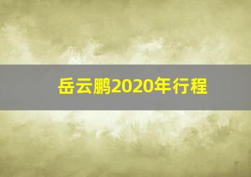 岳云鹏2020年行程