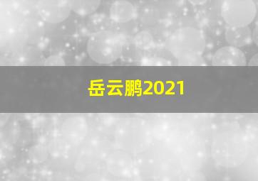 岳云鹏2021