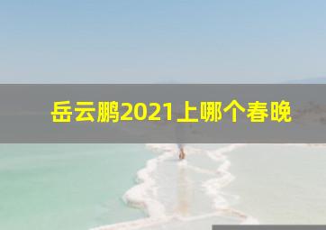 岳云鹏2021上哪个春晚