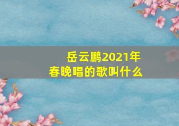 岳云鹏2021年春晚唱的歌叫什么