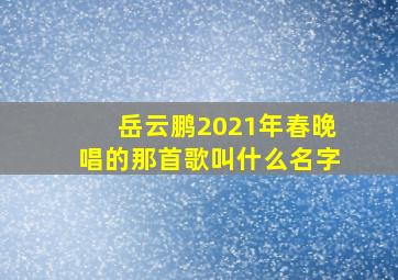 岳云鹏2021年春晚唱的那首歌叫什么名字